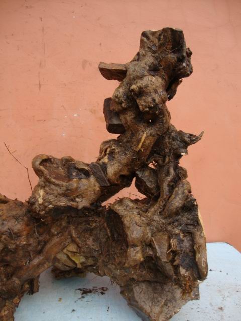 DSC08540.JPG