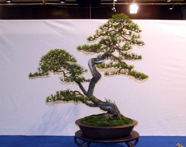 Noelanders Trophy IX 2008 (29).jpg
