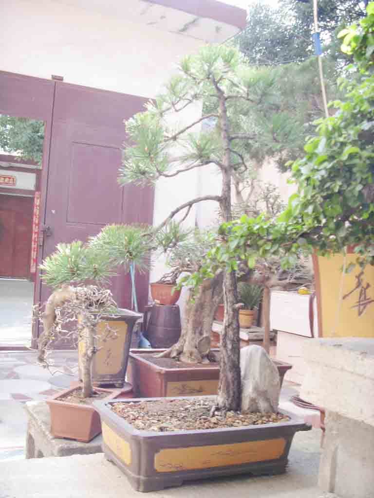 SDC13125.JPG