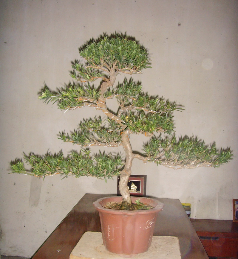 SNV39341.JPG