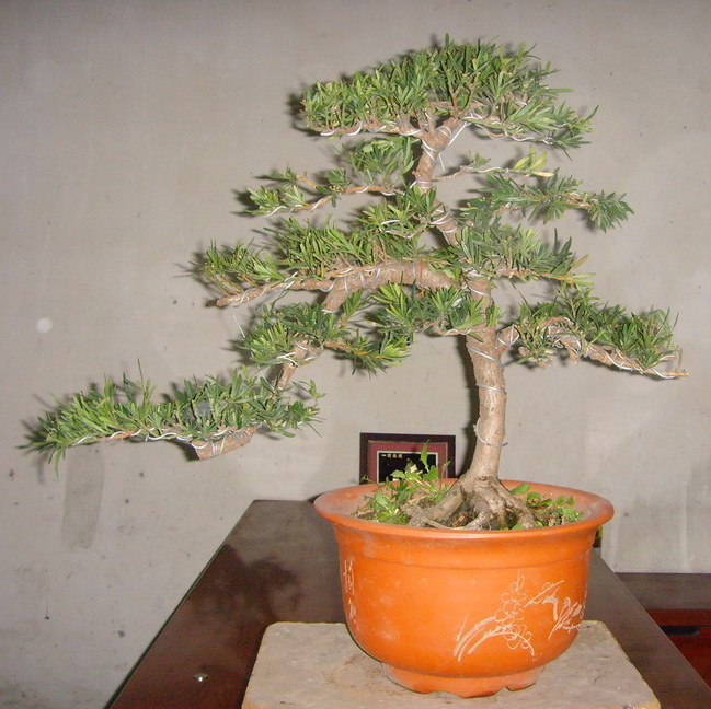 SNV39347.JPG