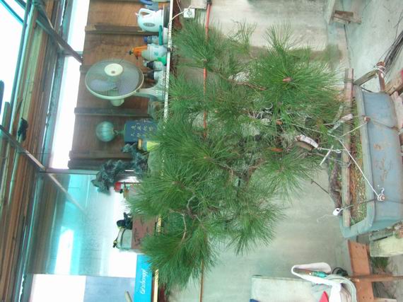 С DSCF7959.JPG