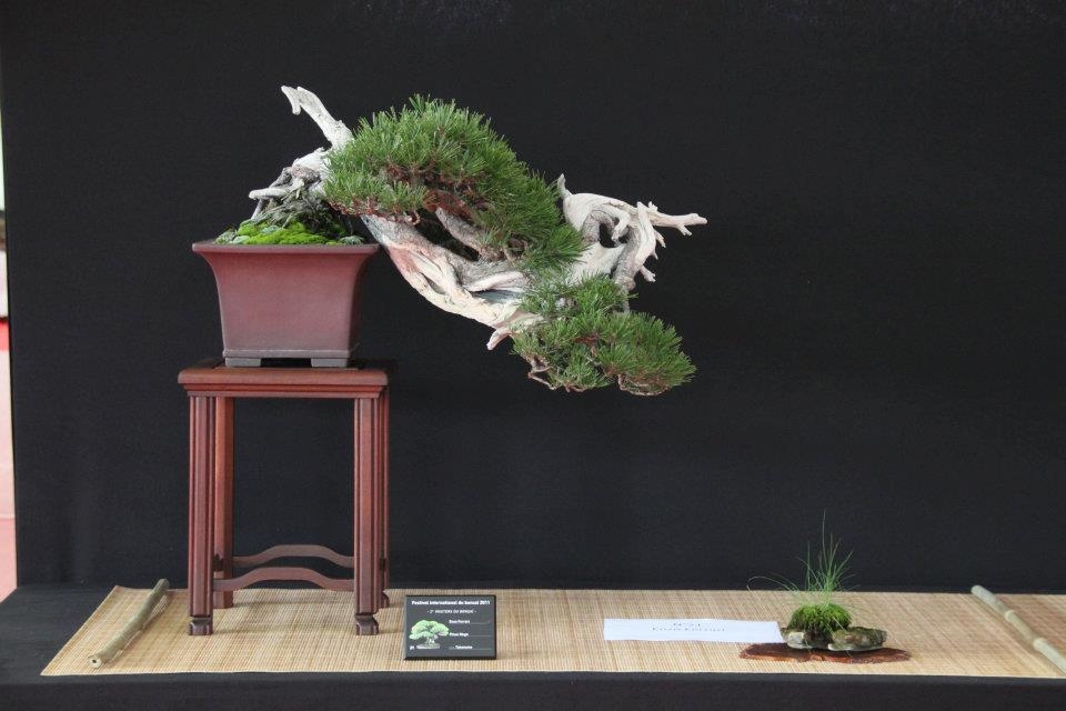 Festival International du Bonsai Saulieu 8 & 9 october 2011 032.jpg