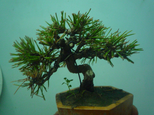 P1070169.JPG