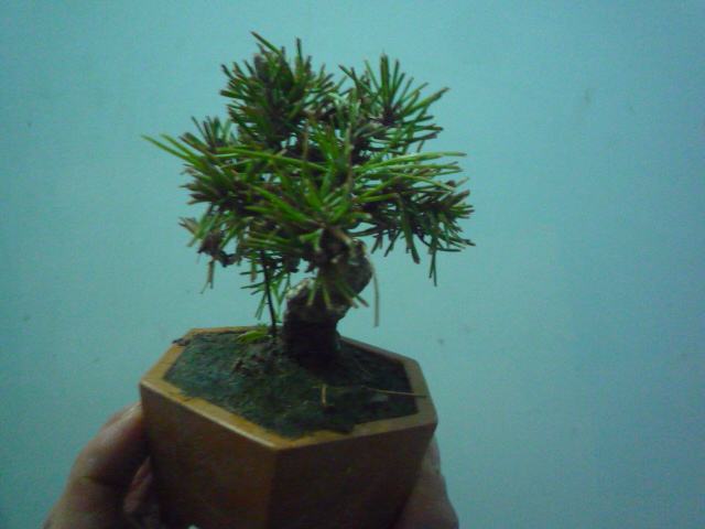 P1070166.JPG