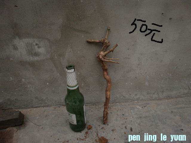 PC190185.JPG