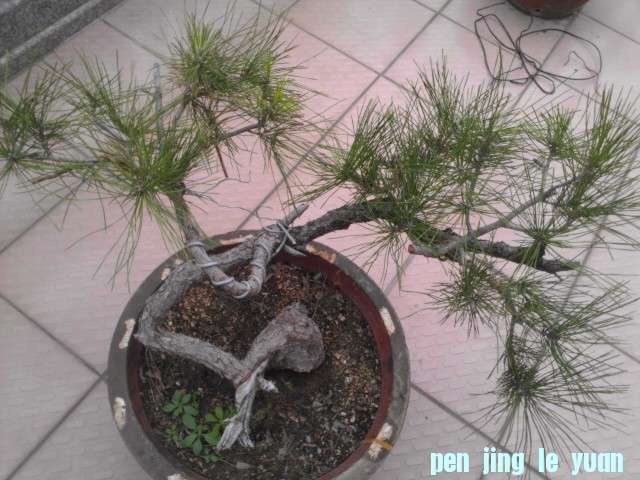IMAG0641.jpg