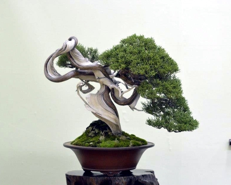 Taikan Ten 2012 057.jpg