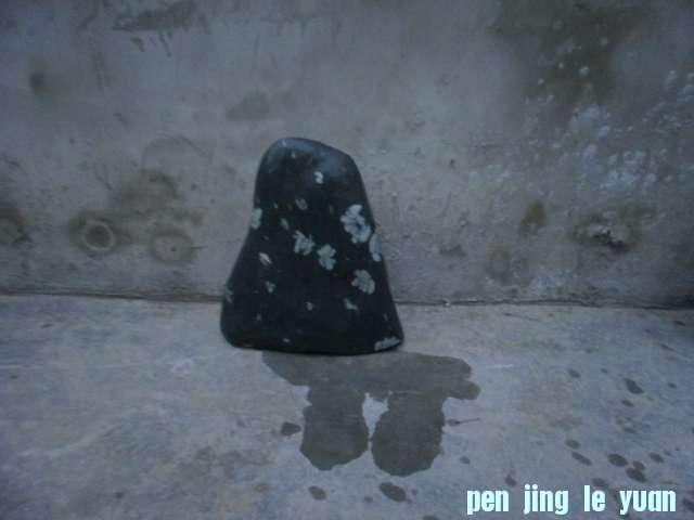 PC210193.JPG