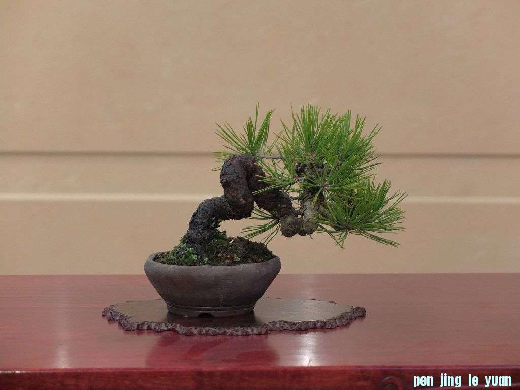 DSCF2769.jpg