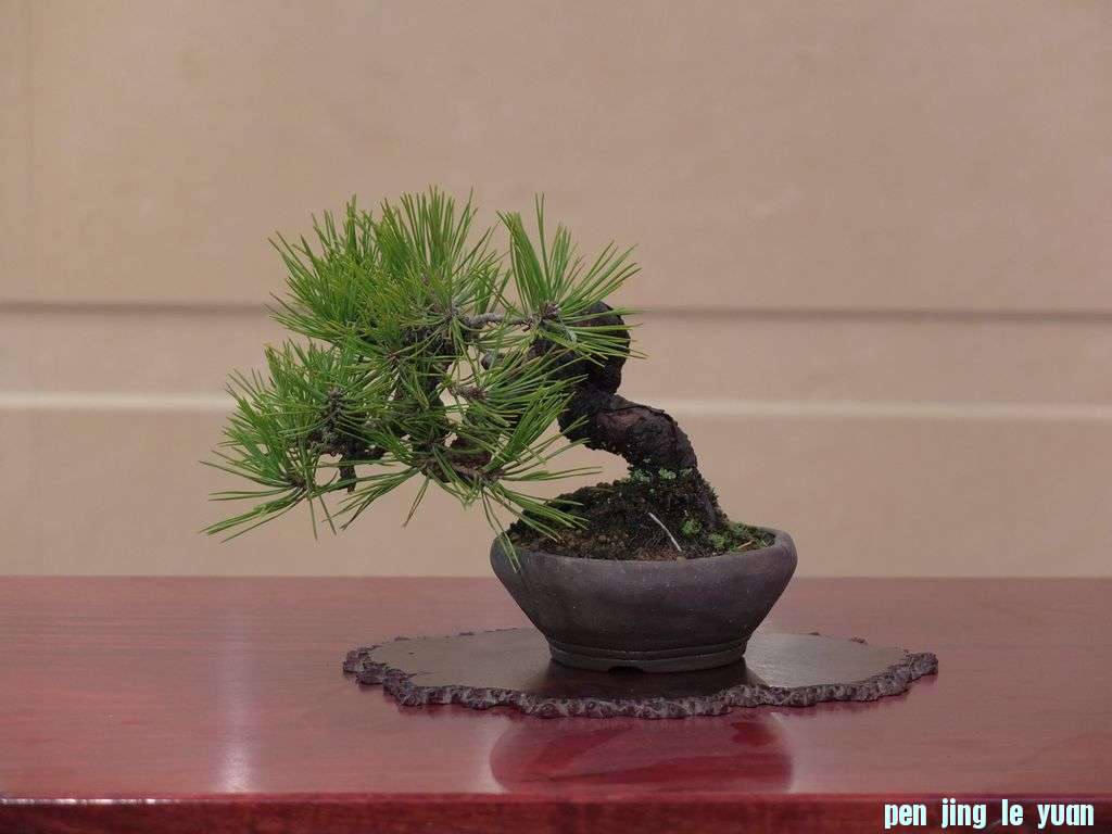 DSCF2772.jpg