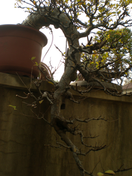 DSCN2525.JPG