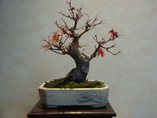 DSC01362.JPG