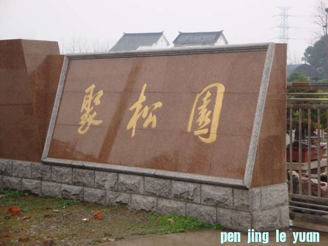 DSC01565.JPG