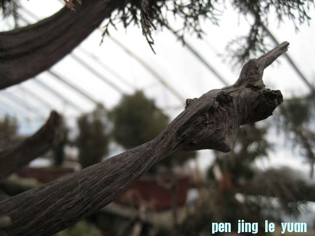 IMG_6799.JPG