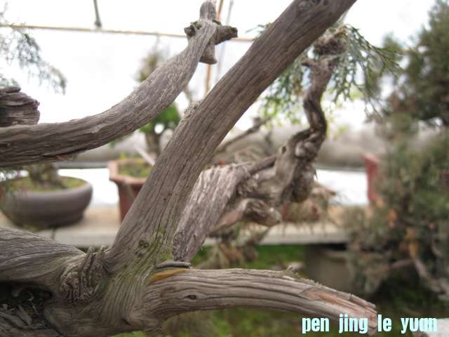 IMG_6800.JPG