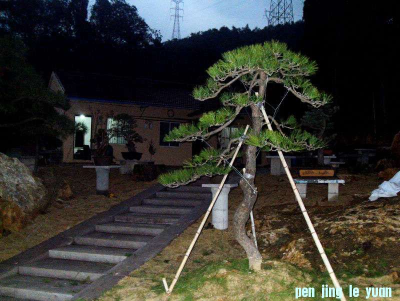 SDC13691.jpg