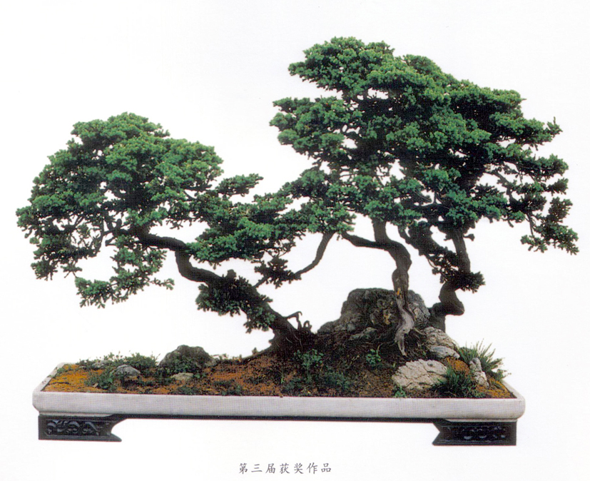 3辰Ʒ7.jpg