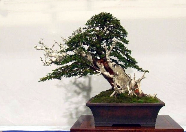 NoeX 2008 (98).jpg
