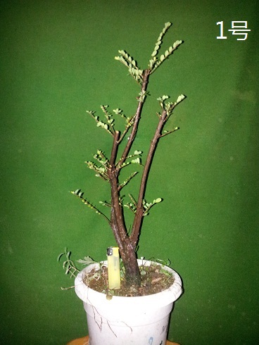 20121223_214918.jpg