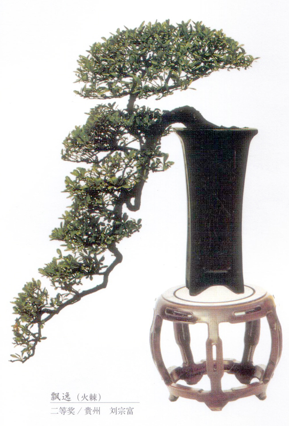 ڸ--Ʈݻ.jpg