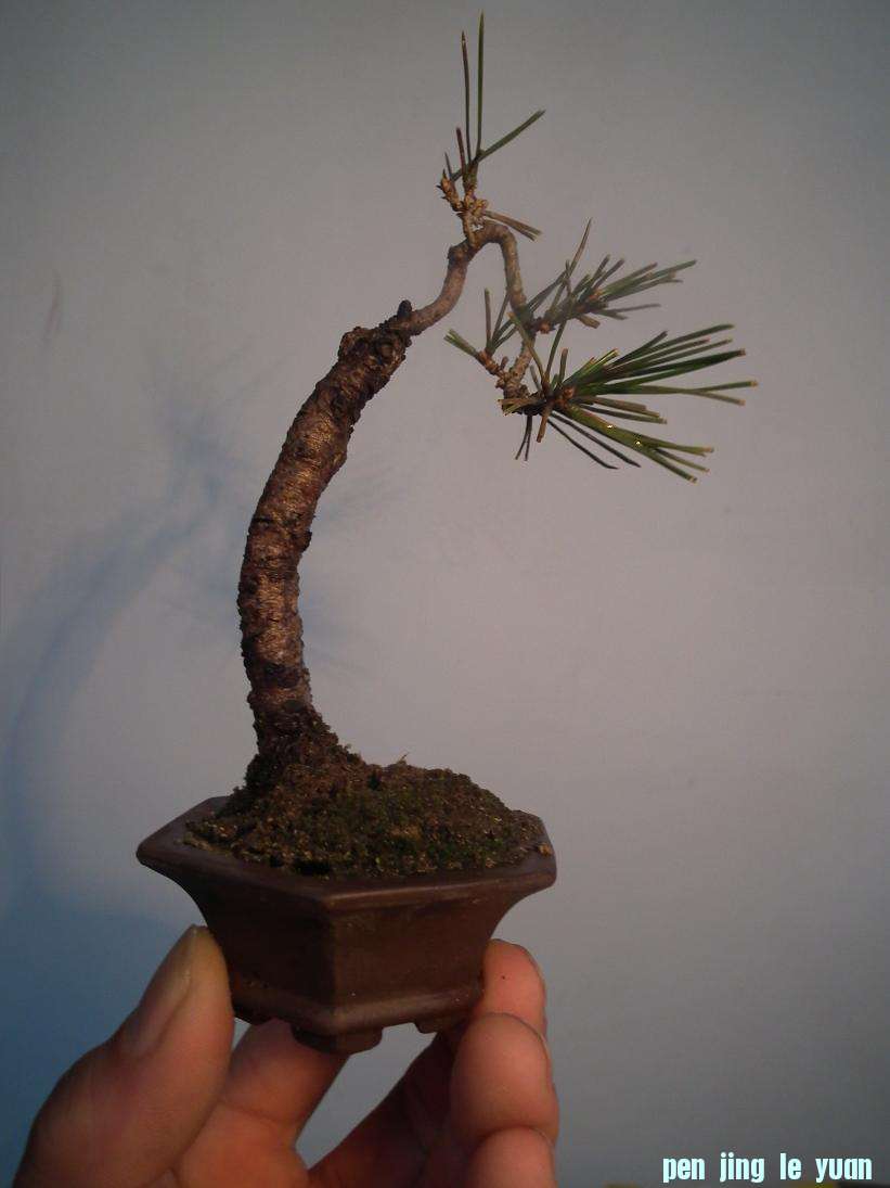 DSCF6129.JPG