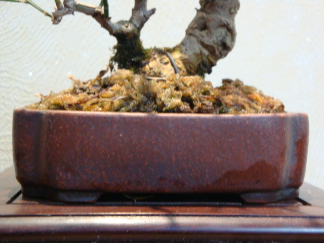 DSC01377.JPG