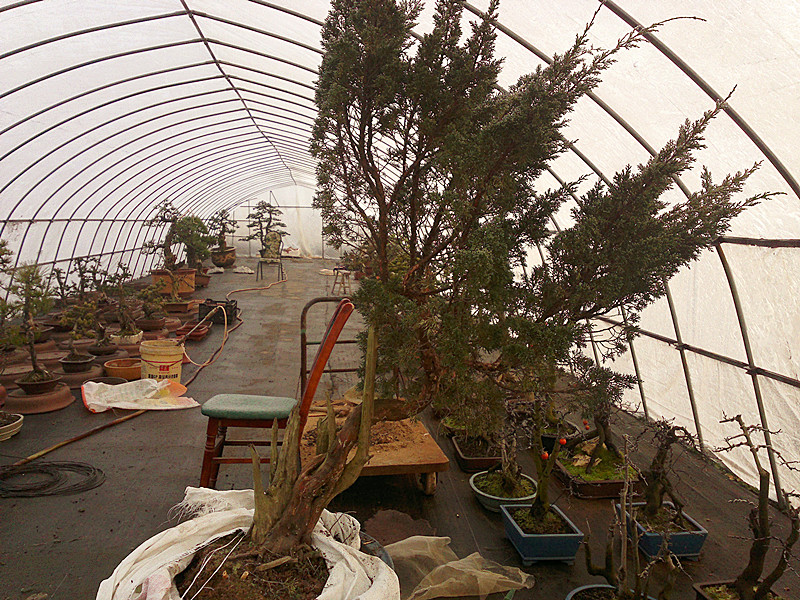 201212242129_.jpg