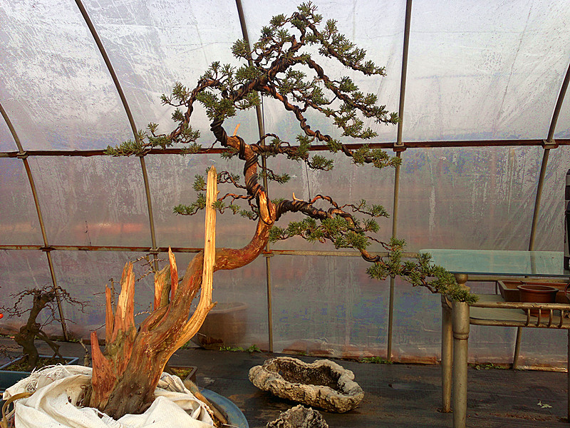 201212242134_.jpg