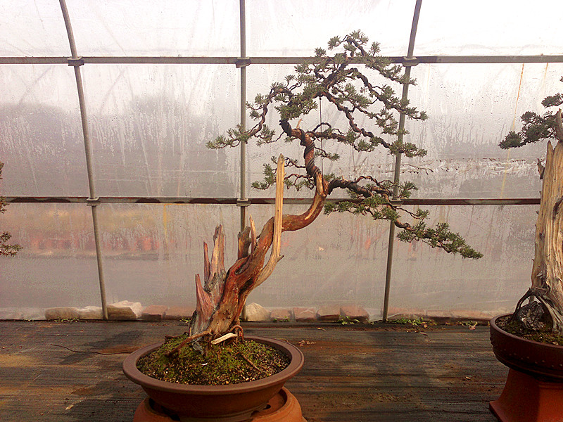 201212252137_.jpg