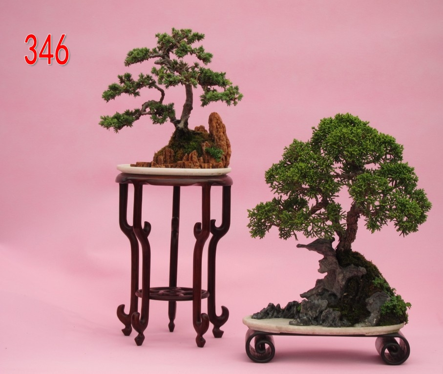 ɽɫ    ׶ ʯ ʯ  25Բ 15Բ  .jpg