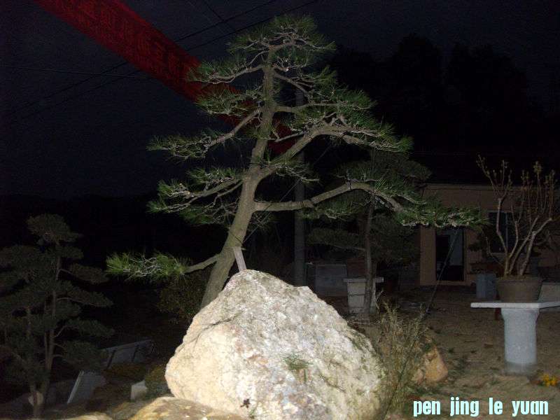 SDC13716.jpg