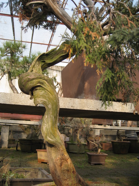 IMG_6844.JPG