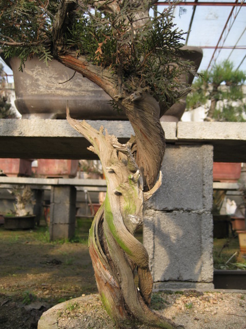 IMG_6845.JPG