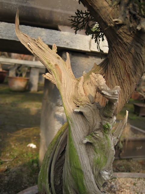 IMG_6847.JPG