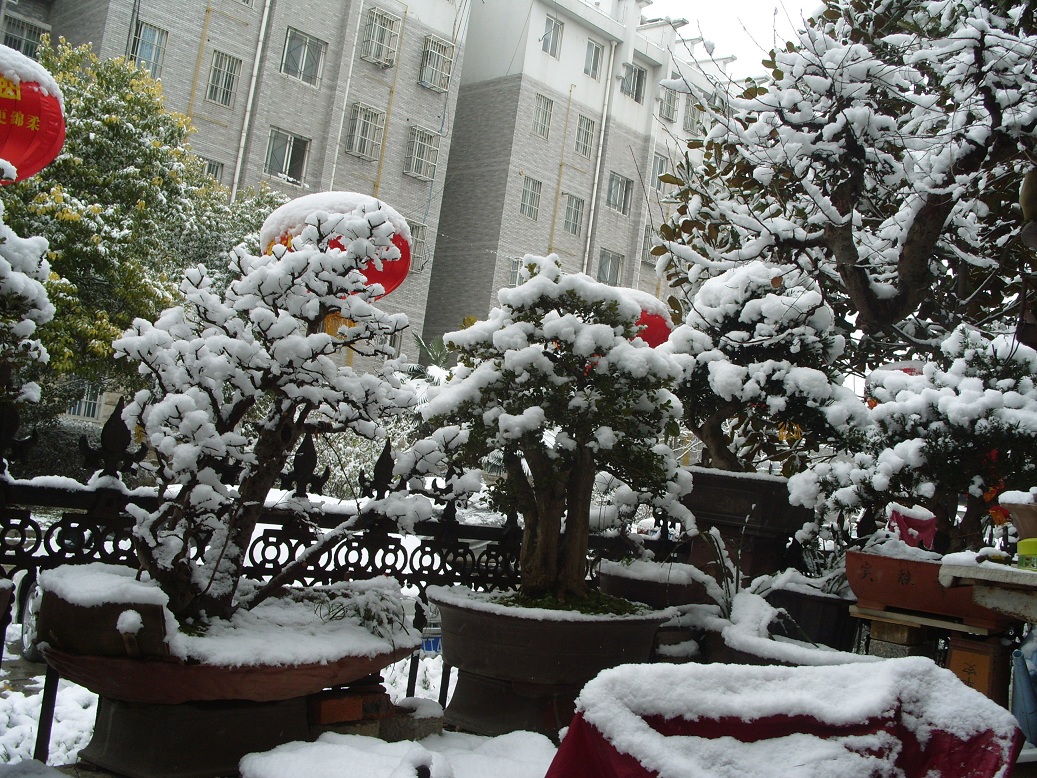 S1051936.JPG