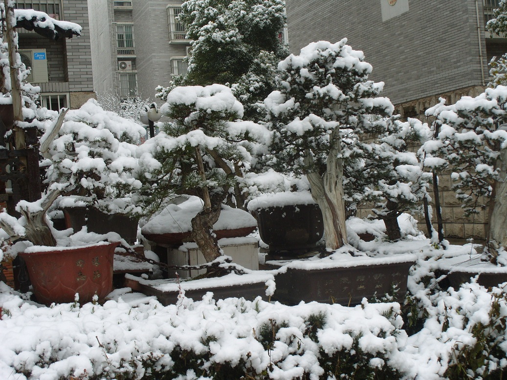 S1051940.JPG