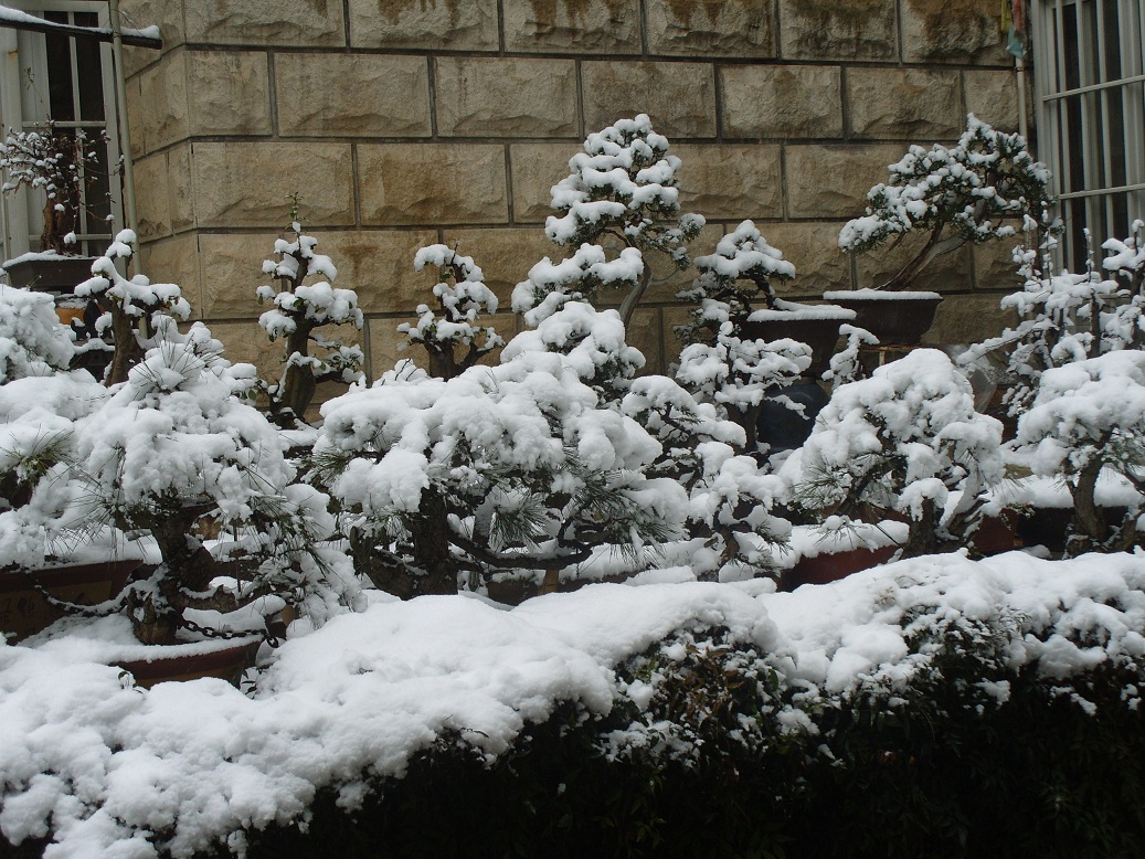 S1051943.JPG