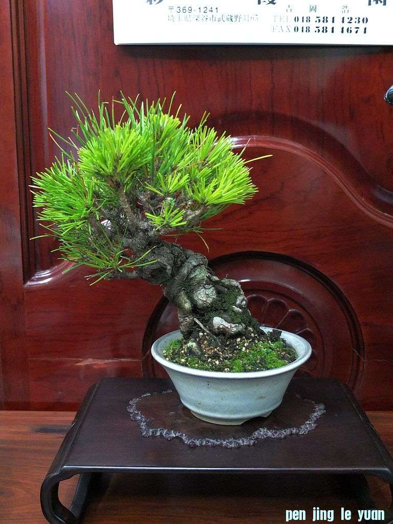 DSCF2948.jpg