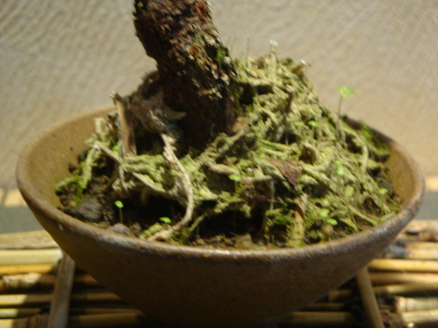 DSC01596.JPG