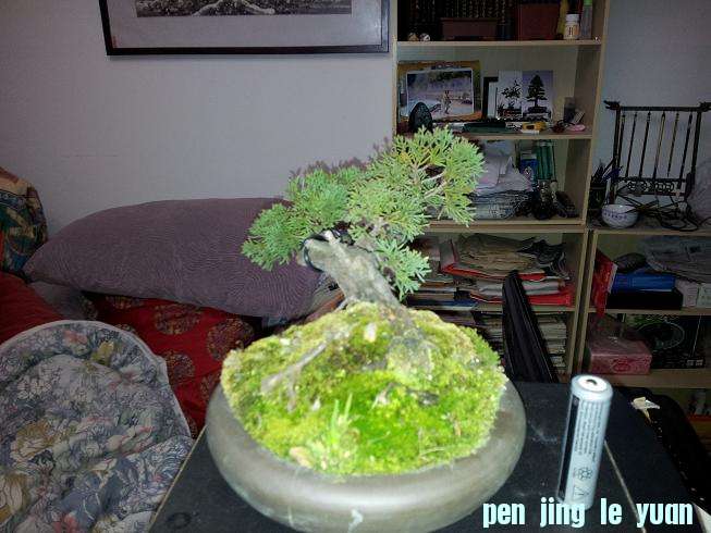 20121229_204657.jpg