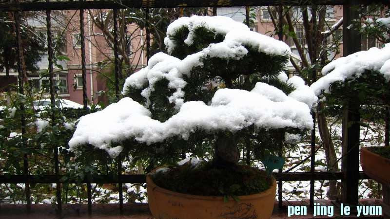 IMG_3367_С.JPG