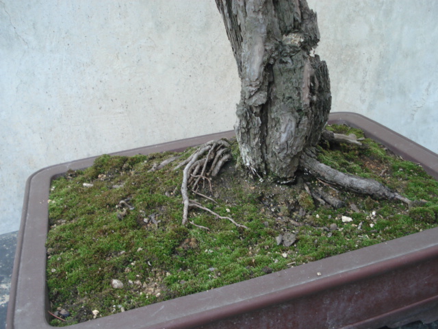 DSC00107.JPG