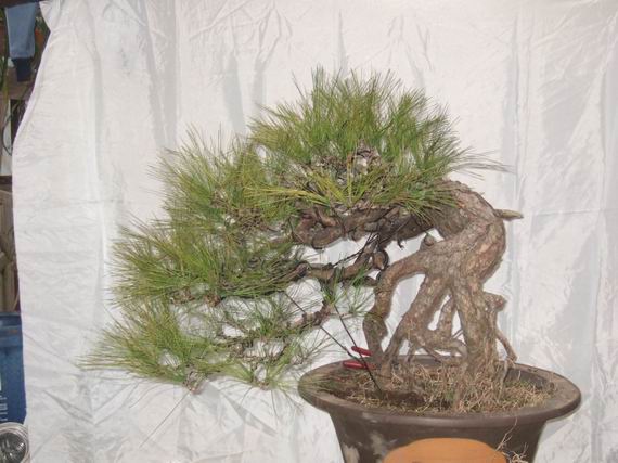 С DSCF8066.JPG