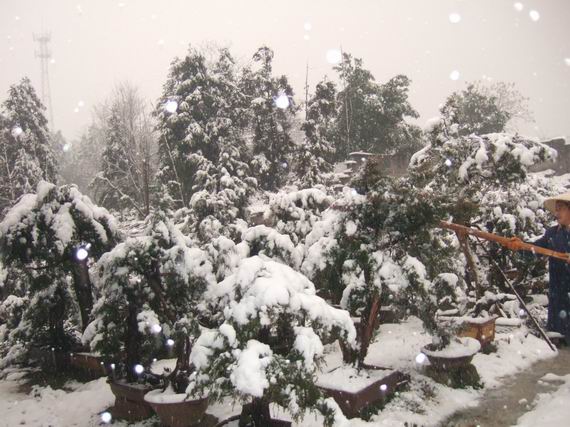 С DSCF8093.JPG