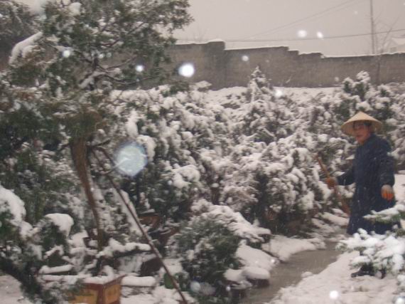 С DSCF8096.JPG