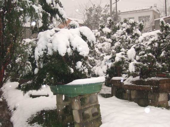 С DSCF8100.JPG