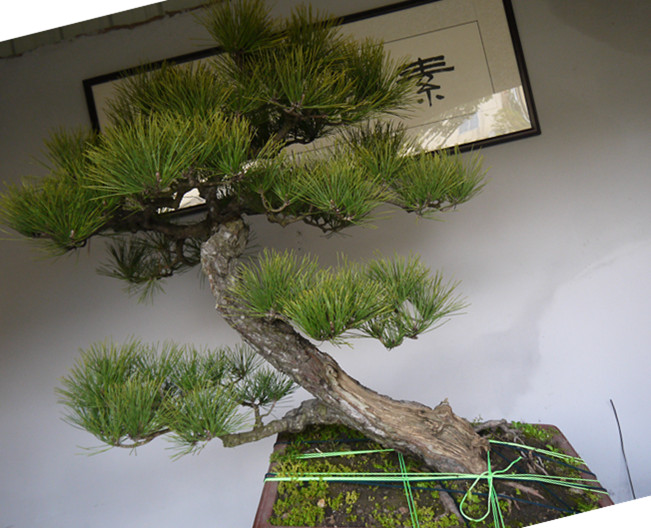 P1000651_.jpg
