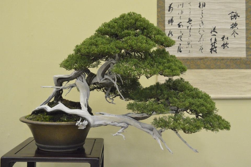 Taikan Ten 2012 036.jpg