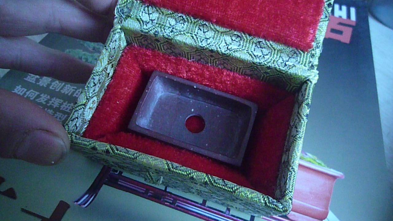P1070324.JPG